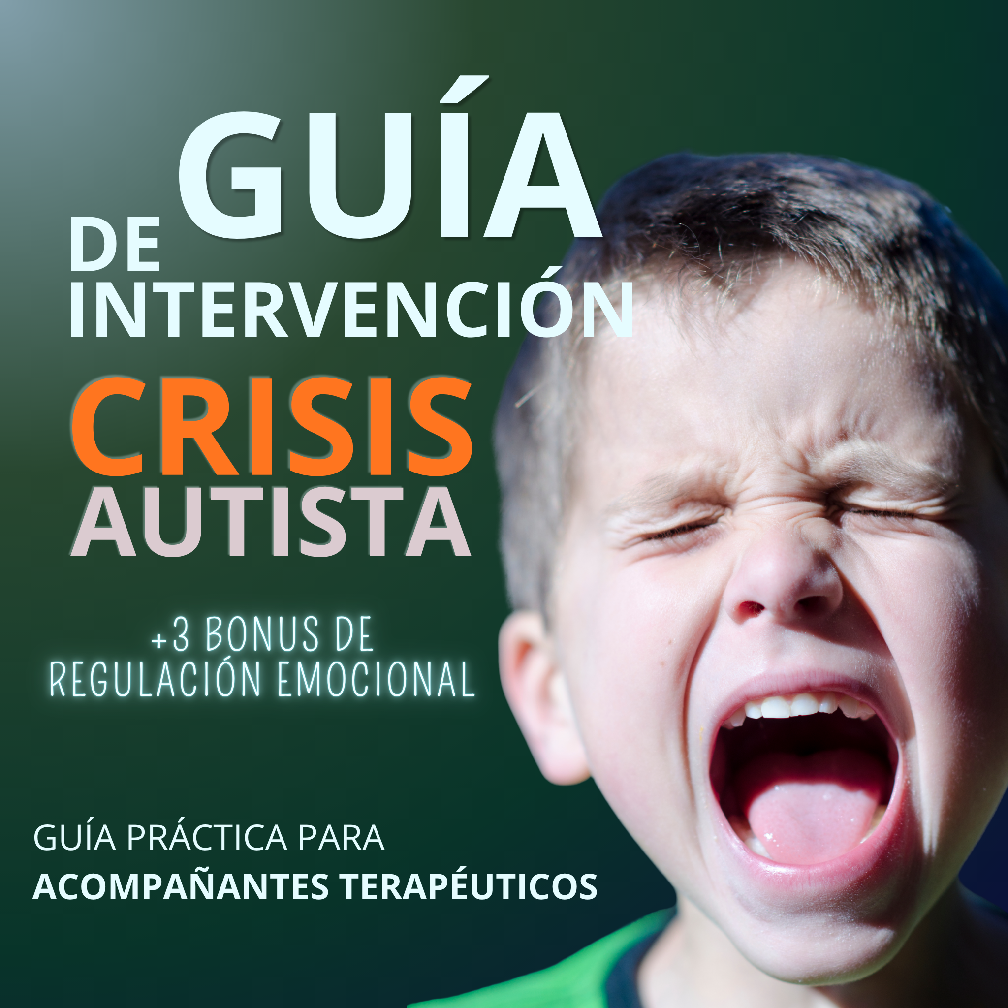GUÍA DE CRISIS Y DESREGULACIÓN TEA + 3 BONOS GRATUITOS DE REGULACIÓN EMOCIONAL